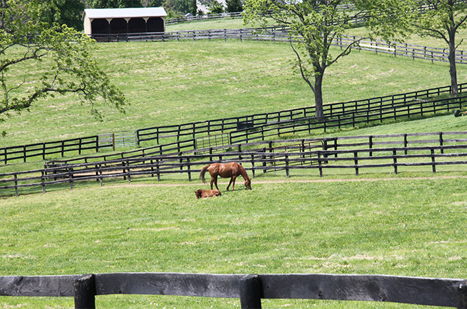 Round Hill, VA